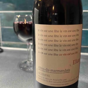 Elian Da Ros - Sandrine et Elian Da Ros - Ce Vin Est Une Fête