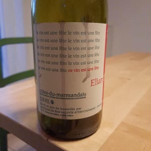 Elian Da Ros - Sandrine et Elian Da Ros - Ce Vin Est Une Fête