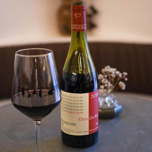 Ce Vin Est Une Fête - Elian Da Ros - sandrine-et-elian-da-ros