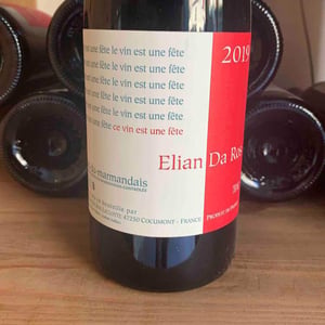 Ce Vin Est Une Fête - Elian Da Ros - sandrine-et-elian-da-ros