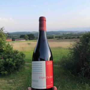 Elian Da Ros - Sandrine et Elian Da Ros - Ce Vin Est Une Fête