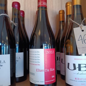 Ce Vin Est Une Fête - Elian Da Ros - sandrine-et-elian-da-ros