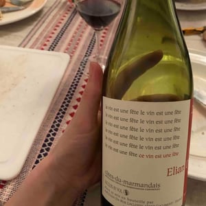 Elian Da Ros - Sandrine et Elian Da Ros - Ce Vin Est Une Fête