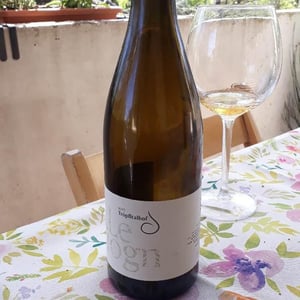 Le Viogne - Tropftalhof - andreas-tropftalhof