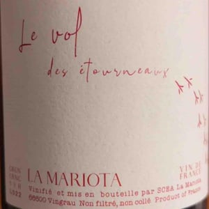 Le vol des étourneaux - La Mariota - Cecilia Diaz & Guillermo Campos Baeza -2021