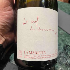 Le vol des étourneaux - La Mariota - cecilia-diaz-guillermo-campos-baeza -2021