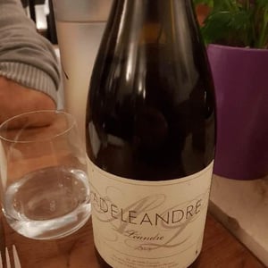 Léandre - Adéléandre - adeleandre