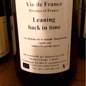 Leaning back in time (X Laurent Bannwarth) - Anders Frederik Steen & Anne Bruun Blauert - Anders Frederik Steen & Anne Bruun Blauert 