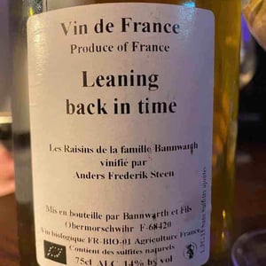Leaning back in time (X Laurent Bannwarth) - Anders Frederik Steen & Anne Bruun Blauert - Anders Frederik Steen & Anne Bruun Blauert 