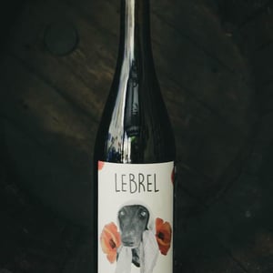 Lebrel - Vinos Indar - manuel-requena -2020