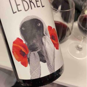 Lebrel 2021