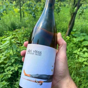 Igavi Wines 2019
