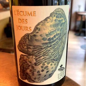 L'écume Des Jours - Les Déplaude de Tartaras - anne-pierre-andre-deplaude