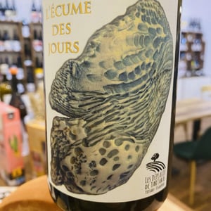 L'écume Des Jours - Les Déplaude de Tartaras - anne-pierre-andre-deplaude