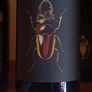 Ledogar - Domaine Ledogar - Xavier, Mathieu & Benoît Ledogar 