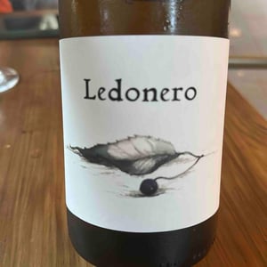 Ledonero - Barranco Oscuro - Manuel & Lorenzo Valenzuela 