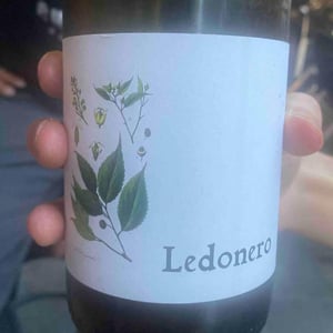 Ledonero - Barranco Oscuro - Manuel & Lorenzo Valenzuela 