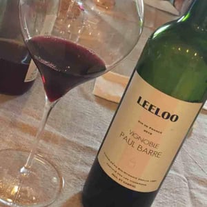 Leeloo - Vignoble Paul Barre - edith-gabriel-barre
