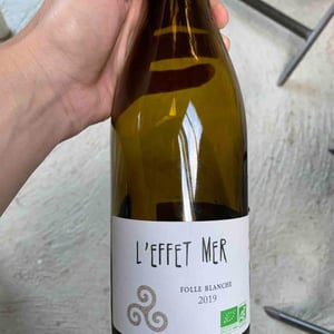 L’Effet Mer - Bedouet Vigneron - bedouet