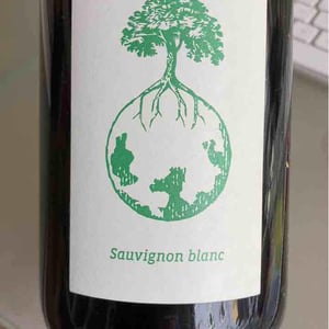 Legoth - Weingut Werlitsch - Ewald & Brigitte Tscheppe 