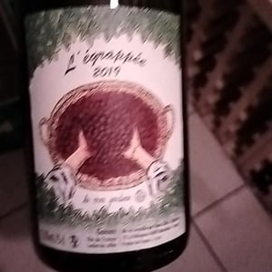 L’égrappée - Les Vins Jardinés - yoann-gillot