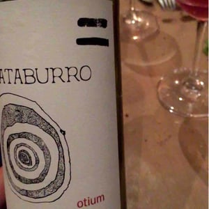 Mataburro - Laurent Roger & Melissa Ingrand - Otium