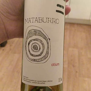 Otium