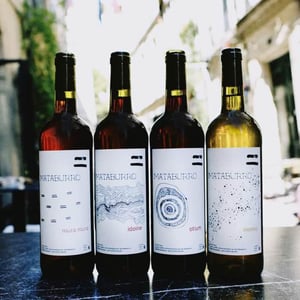 Otium - Mataburro - laurent-roger-melissa-ingrand