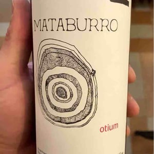 Otium - Mataburro - laurent-roger-melissa-ingrand