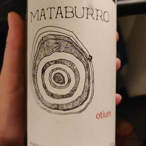 Otium - Mataburro - laurent-roger-melissa-ingrand