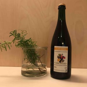 L'Elixir Onirique