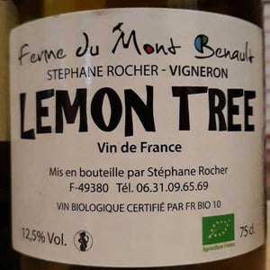 Lemon Tree