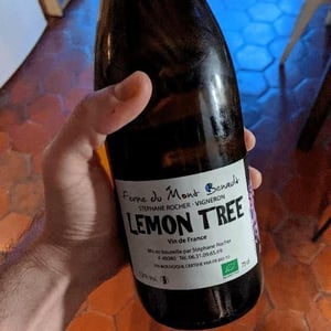 Lemon Tree - Ferme du Mont Benault - Stéphane Rocher 