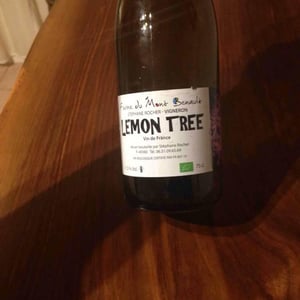 Lemon Tree