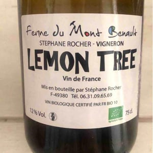 Lemon Tree - Ferme du Mont Benault - Stéphane Rocher 