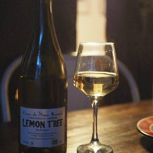 Lemon Tree - Ferme du Mont Benault - stephane-rocher