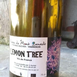 Lemon Tree - Ferme du Mont Benault - stephane-rocher