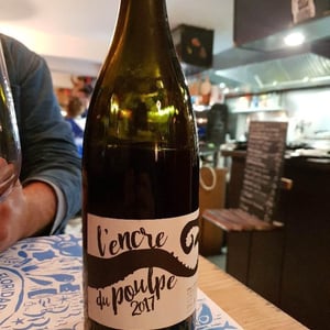 L'Encre Du Poulpe - Fond Cyprès - Rodolphe Gianesini & Laetitia Ourliac 