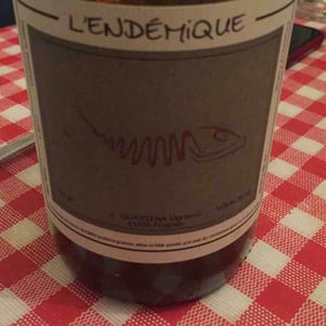 L’endémique - Jeremy Quastana - jeremy-quastana
