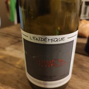 L’endémique - Jeremy Quastana - Jeremy Quastana 