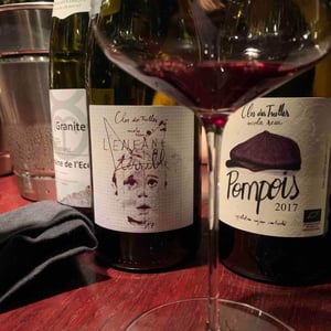 L'Enfant Terrible (2017 label) - Le Clos des Treilles - Nicolas Reau 