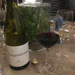 Domaine Yannick Pelletier - Yannick Pelletier - L'Engoulevent
