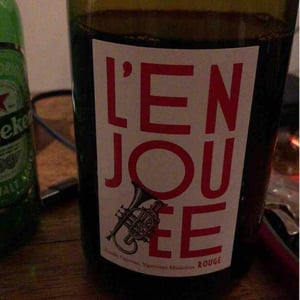 Domaine Ogereau - Vincent & Emmanuel Ogereau - L'Enjouée rouge