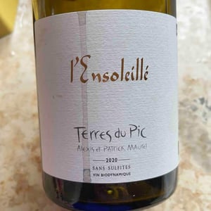 L’ensoleillé - Terres Du Pic - patrick-alexis-maurel
