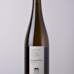 L'Enthousiasme - Domaine Ogereau - vincent-emmanuel-ogereau