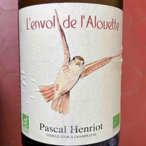 L’envol de l’alouette - Pascal Henriot - pascal-henriot -2022