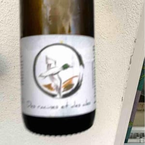 L'Envol - Lindenlaub - Christophe Lindenlaub 