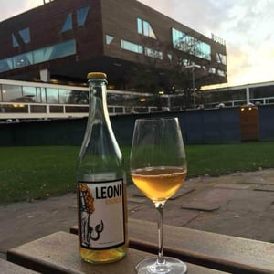Leoni Bianco - Vini Leoni - guido-leoni