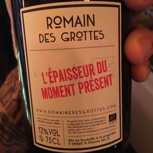 L’Epaisseur Du Moment Présent - Domaine des Grottes - Romain des Grottes 