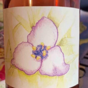 Beaujolais Village - Domaine des Chopins - Germain Santailler 